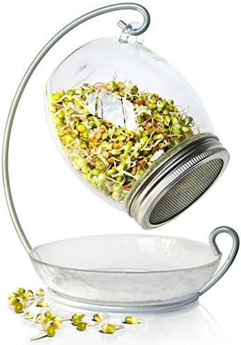 Premium Sprouting Jar Kit - Unique 30 oz Wide Mouth Sprouting Jar, Stand, Tray and 316 Stainless Screen Lid | Decorative Indoor Seed Sprouter and Germinator (1 Kit)