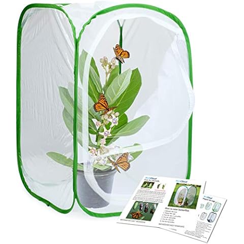 RESTCLOUD Insect and Butterfly Habitat Cage Terrarium Cover