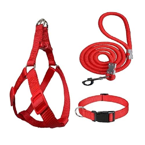 Image of No Pull Dog Harness - Step in and Leash for Small Medium Large Dog - Escape Proof Adjustable Soft Dog Harness Leash Collar Set for Walking Training Hiking Outdoor (Bright RED)