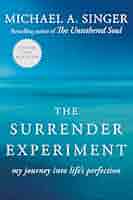The Surrender Experiment: My Journey into Life's Perfection