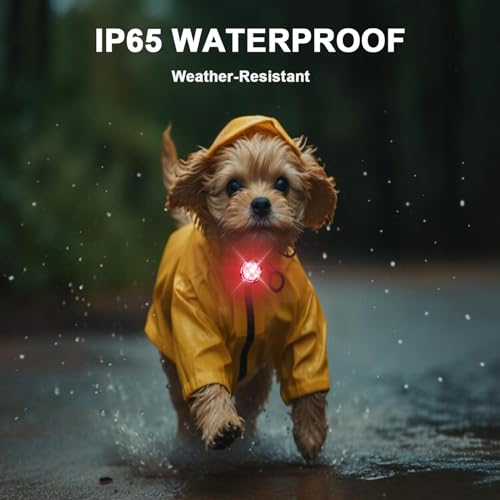 Tubasion 7 Colours in 1 Leuchtanhänger Hund, USB-C Wiederaufladba Blinklicht Hundegeschirr, Licht für Hundehalsband Silikon, IP65 wasserdichte Led Hundehalsband für Nachtspaziergänge
