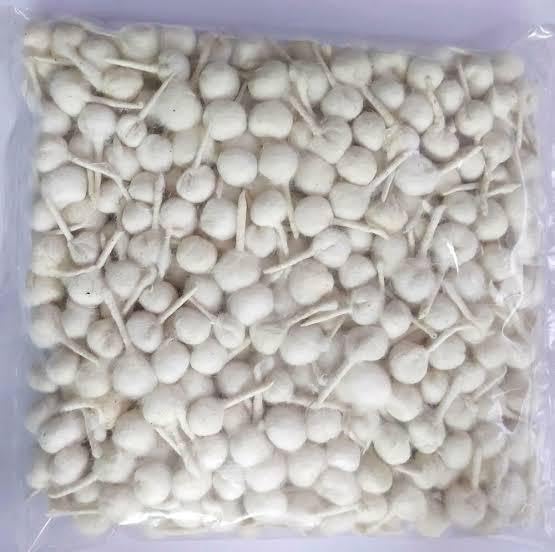 Set Phool Batti Pooja con 500 piezas para ritos espirituales miniatura 3