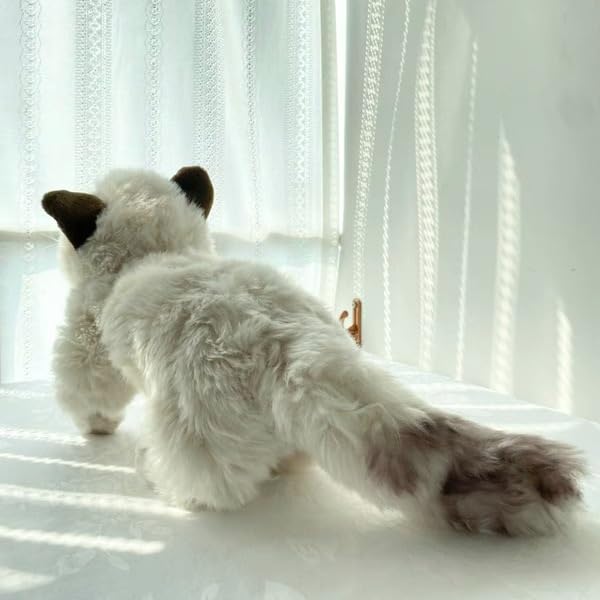 Peluche chaton aux yeux bleus le premier ami de bébé - 4