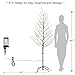 LIGHTSHARE 6FT 240L LED Star Light Tree, for Home Festival Party Christmas, Indoor and Outdoor Use, Warm White