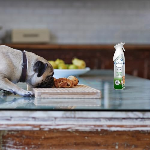 Febreze Air Mist Air Freshener Spray, Odor-Fighting Room Spray, Air Fresheners for Home and Bathroom and Kitchen, Aerosol Can, HD Pet Odor Fighter Scent, 8.8oz (Pack of 3) - Thumbnail 6