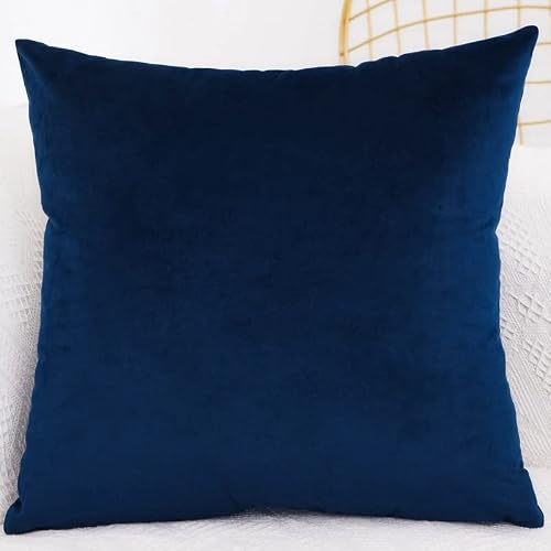 Zzdzw #12 Velvet Cushion Covers 45Cm X 45Cm ，50Cm X 50Cm，60Cm X 60Cm，Square Throw Pillow Cover 40X40，Sofa Cushion Covers For Bedroom Couch Living Room With Invisible Zipper (Color : Size : 40X40cm)
