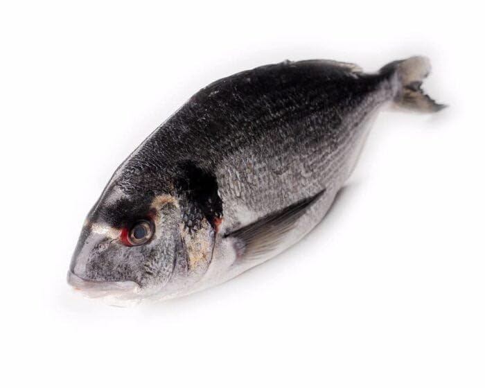 Dorada de estero fresca fileteada
