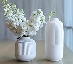 White Vases Home Decor Centerpieces Modern Boho Ceramic Set of 2 for Flowers Pampas Grass Table Mantle Kitchen(Matt White)