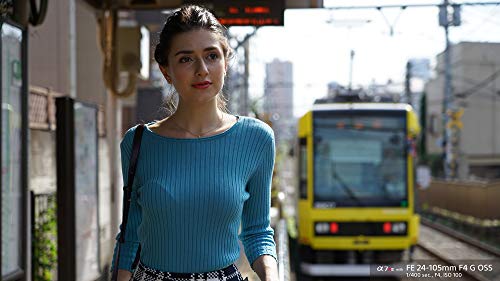 Image of Sony - FE 24-105mm F4 G OSS Standard Zoom Lens (SEL24105G)