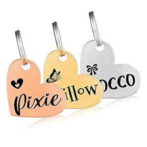 Nicovang Gravierte Hundemarke mit Namen und Form