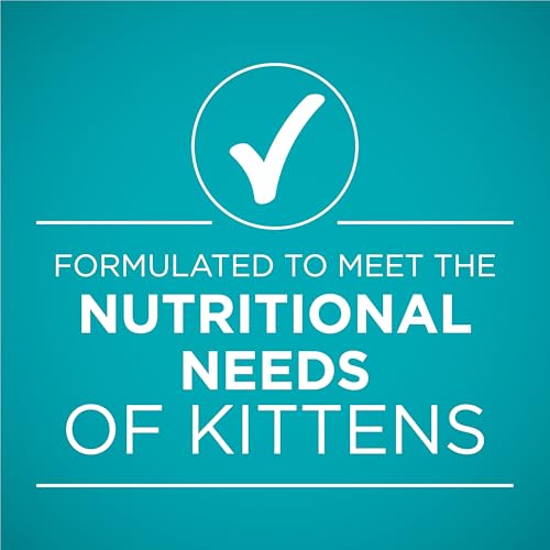 Purina ONE Grain Free, Natural Pate Wet Kitten Food, Healthy Kitten Chicken & Salmon Recipe - (Pack of 48) 3 oz. Pull-Top Cans - image 6