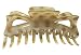 Parcelona French Extra Large 5.5 Inch Long Hand Painted Ivory Brown Beige Celluloid Shell Jaw Hair Claw Clip for Thick or Long Hair