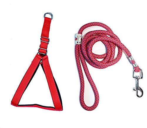 See full amazon price history chart for Tame Love™ Adjustable Breathable Dog Chest Belt Harness and Padded Leash forSmall Sized Dogs | Comfortable for Training, Walking, Running(Red,0.75 Inch) Tame Love™ Adjustable Breathable Dog Chest Belt Harness and Padded Leash forSmall Sized Dogs | Comfortable for Training, Walking, Running(Red,0.75 Inch) (B08FJ76Q2W) Amazon Price History, Amazon Price Tracker