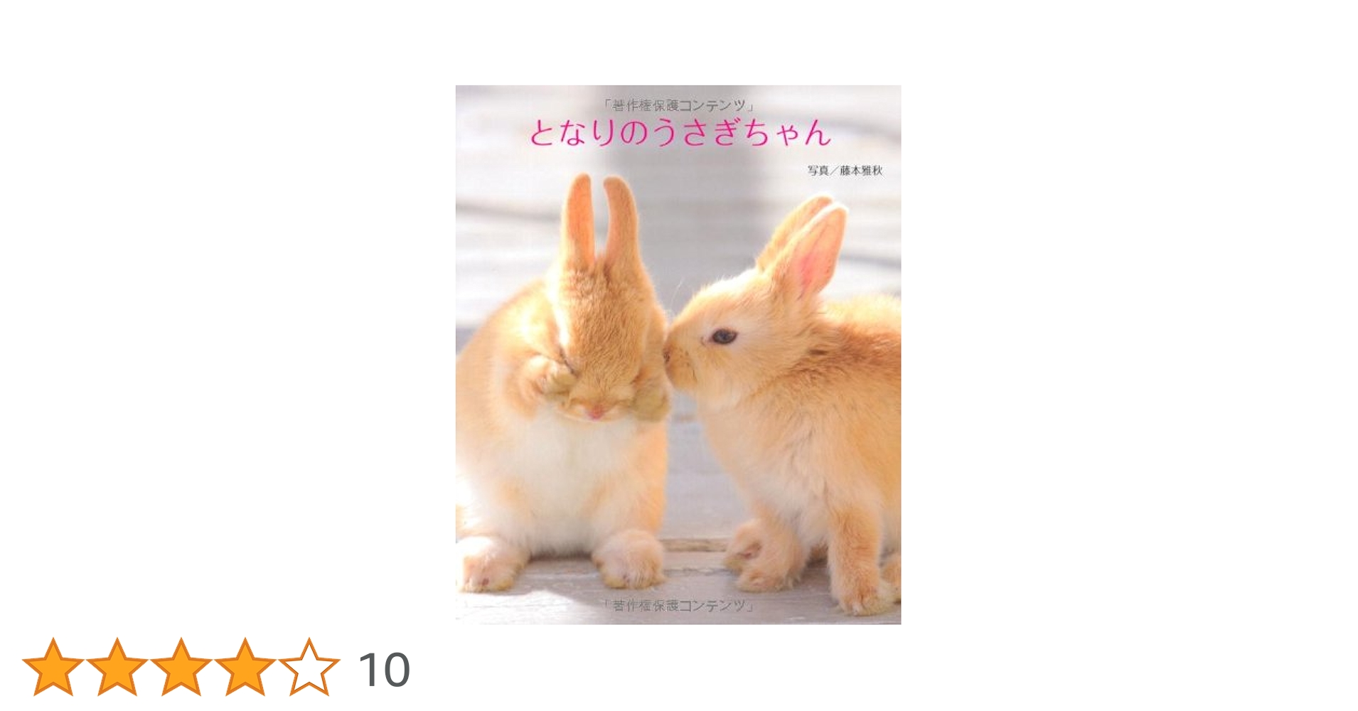 うさぎさま専用ページ こだわりのうさぎ専用部屋を計画中です【ネザーランドドワーフの