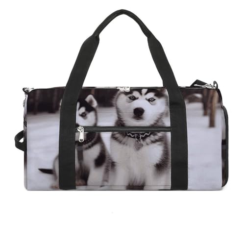 Sac de sport homme femme motif hibou huskies et compartiment à chaussures intégré