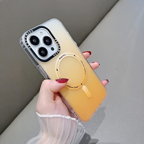 Coque mince pour iPhone 11 Pro Max rigide anti-rayures