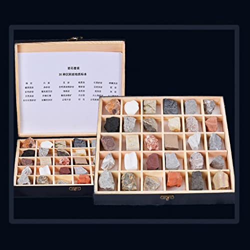 Kit de sciences naturelles avec collection de roches et boîte d'identification