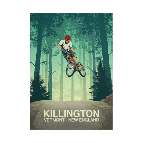 Affiche d'art Tignes VTT trail Steve Ash illustration de collection 70x100