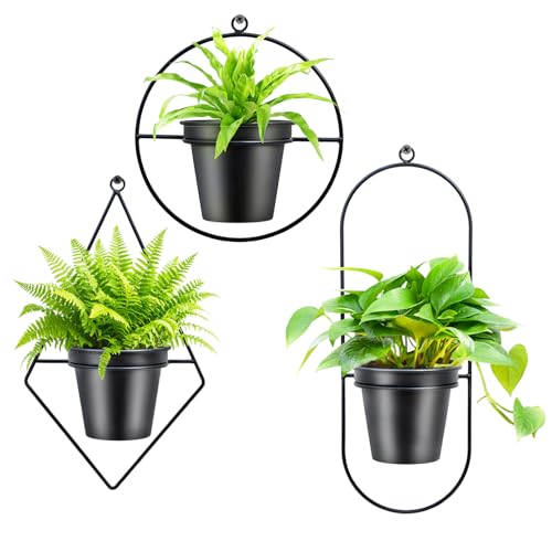 HemePaha Geometric Wall Planters for Indoor Plants Set of 3 Black Metal Wall Mounted Plant Holder (Diamond & Oval & Round Shapes) with 5 Inch Flower Pots, Modern Hanging Planters for Indoor Decor