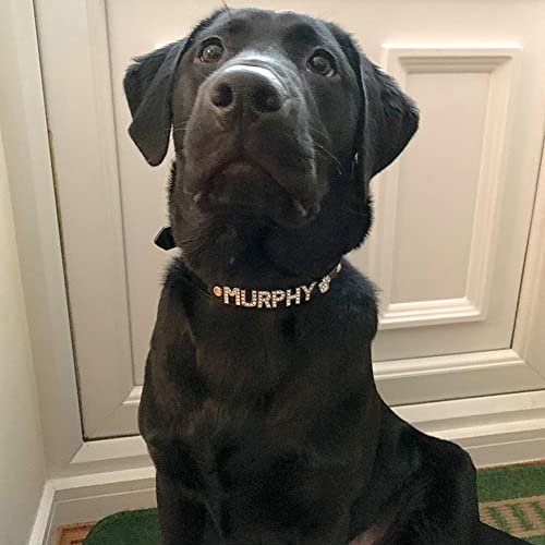 Collare con nome personalizzabile per cane e gatto...