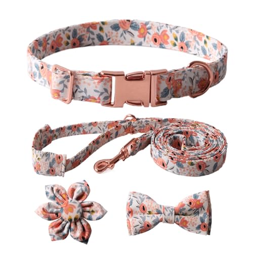 Collier pour chien avec laisse et nœud fleur chic