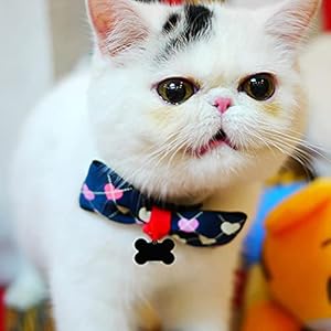 30 pcs black bone shape pet id tag with key ring 38mm blank personalized aluminium pendants tag dog cat pet name phone number id tag charm for dogs cats name craft tag   cucciolini doodles