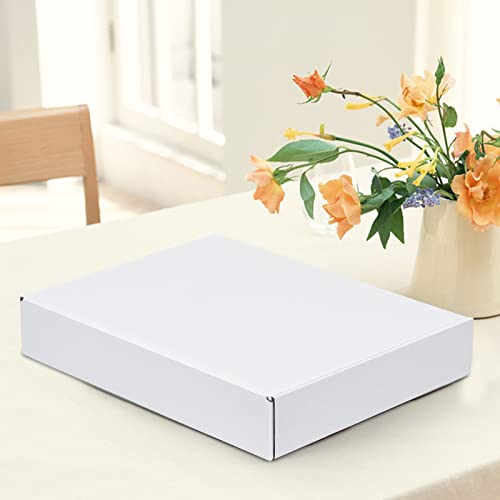 Horlimer 12X9X2 Inches Shipping Boxes Set Of 25, White Corrugated Cardboard Box Literature Mailer #TOP4