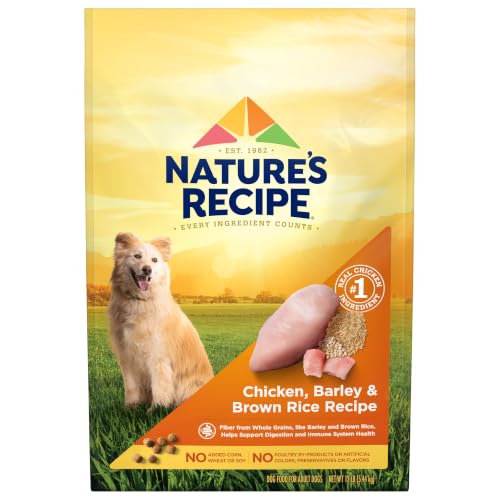 Nature's Promise Natural Chicken & Brown Rice Recipe product image
