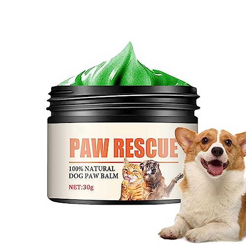 amazon.ae Best Sellers The best items in Dog Paw Protectors based on