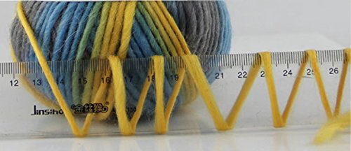 Celine Lin One Skein Thick Wool Economy Hand Knitting Yarn 100G,Multi-Colored28 #TOP1