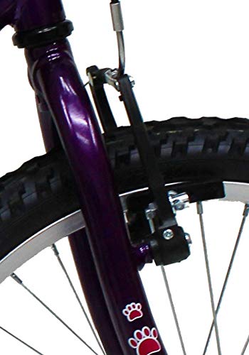 Bicicleta Aro 20 Infantil Feminina Com Cesta Saidx (Violeta)