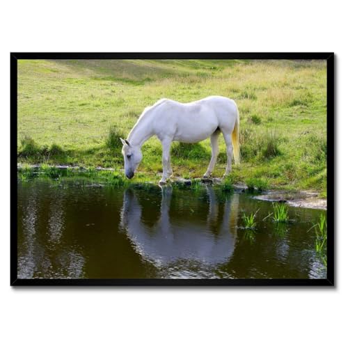Cheval blanc poster cadre blanc tableau 70x50 décoration murale chambre