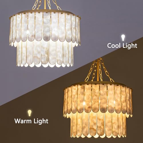 TOCHIC Shell Chandelier Light Fixture, 5-Light Capiz Chandelier Coastal Gold Bathroom Chandeliers Over Tub, Modern Seashell Round Hanging Pendant Lighting for Dining Room Living Room Bedroom Hallway - Image 9