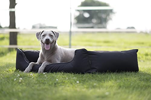 Lebon - Hundebett Paula Plus Schwarz - Orthopädisch - 3 Größe - 80 cm - 100cm - 120cm -Mit Reißverschluss und waschbar - Pflegeleicht - Schmutz - und Wasserabweisend (L)