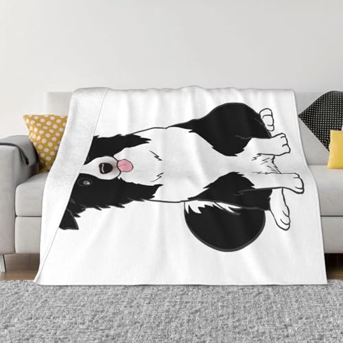 {[_[R[  uPbgtl _炩G 􂦂 \t@uPbg ԗp lGKp