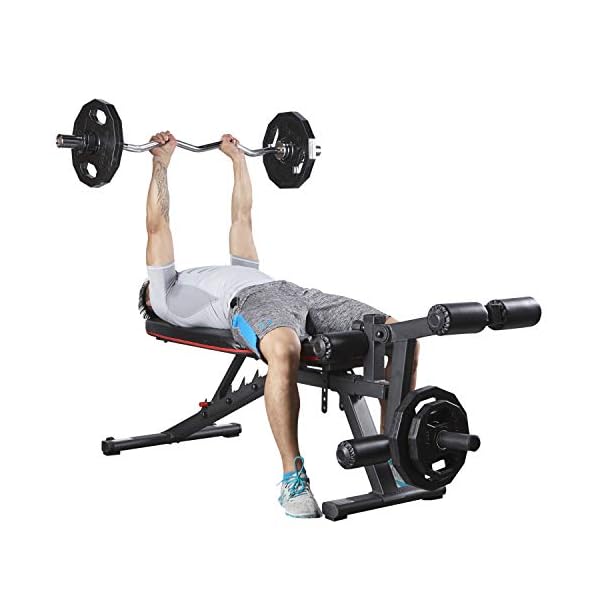 HARISON-Weight-Bench-with-Leg-Extension-and-Leg-Curl-Incline-Decline-Exercise-Workout-Bench-with-Preacher-Pad-for-Home-Gym-Strength-Training-2021-Updated HARISON Weight Bench with Leg Extension and Leg Curl - Incline Decline Exercise Workout Bench with Preacher Pad for Home Gym Strength Training
