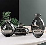grand vase verre noir  Petit Transparent Verre Vase,3pcs (3pcs) Mini Verre Vase,Moderne Décoratifs Vase De Fleurs,Style Japonais Clair Vase De Bourgeons Pour Mariage Salon Bureau Décor-Noir 3pcs