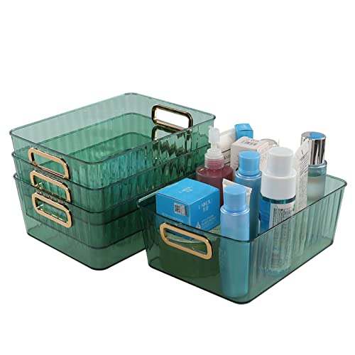 Boite de rangement transparent vert plastique pour trier