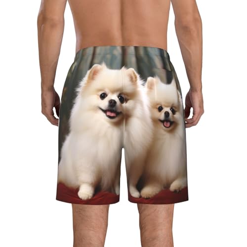Mens Swim Trunks Quick Dry Board Shorts with Pocket Men Swim Shorts Short-haired Pomeranian Dog Beach Bathing Suits2