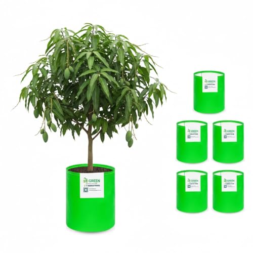 Image of HDPE Grow Bags for Plants 24X36 Inch (Pack of 6) | 260 GSM Heavy Duty UV-Protected Round Green Colour Plant Bags for Terrace and Vegetable Gardening | Strong & Reusable|