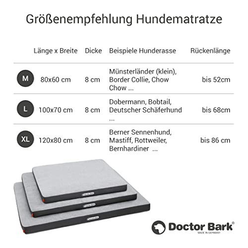 Doctor Bark | orthopädische Hundematratze mit kuscheliger Fleece-Liegefläche, waschbares Liegekissen für große Hunde (L - 100x70 cm, hellgrau - grau)