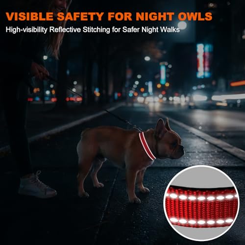 Image of Taglory Reflective Small Dog Collar, Comfortable for Safe Night Walks, Red