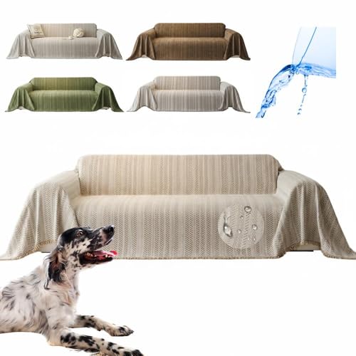 Lifetips CObVEZb^[iEnglish Setterj \t@[Jo[ k  􂦂 h }`Jo[ 2l| 3l| It IȂ ~ Eh~ LΉ lGʗp ix[Wj i230180CMj