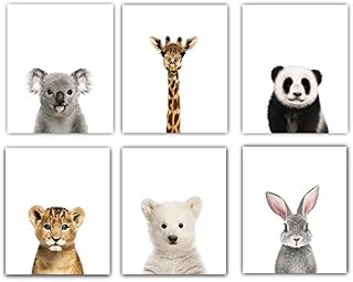 Designs by Maria Inc. Baby Nursery Decor Pictures (8x10) | Set of 6