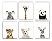 Designs by Maria Inc. Baby Nursery Decor Pictures (8x10) | Set of 6 (Unframed) Cute Animal Photography Wall Prints for Baby Boys & Girls Room