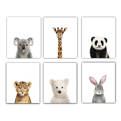 baby animal wall art