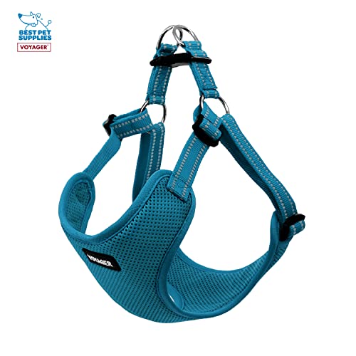 Best Pet Supplies Voyager Adjustable Dog Harness Leash Set including Reflective Stripes for Walking Heavy-Duty Full Body No Pull Vest with Leash D-Ring - Image 4