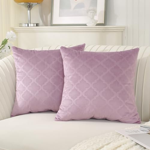 Ystyle Fundas de Cojines 40x40 Decoracion Hogar 2 Piezas Terciopelo Suave Funda para Cojin Sofa Cama Salon de Estar Hogar Dormitorio Sillas Jardin Habitación de los Niños, Morado