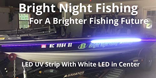 Bright Night 12 Foot UV