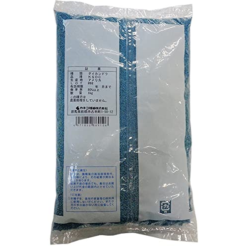 Amazon.co.jp: 緑化用種子 ダイカンドラ 1kg カネコ種苗 景観用種